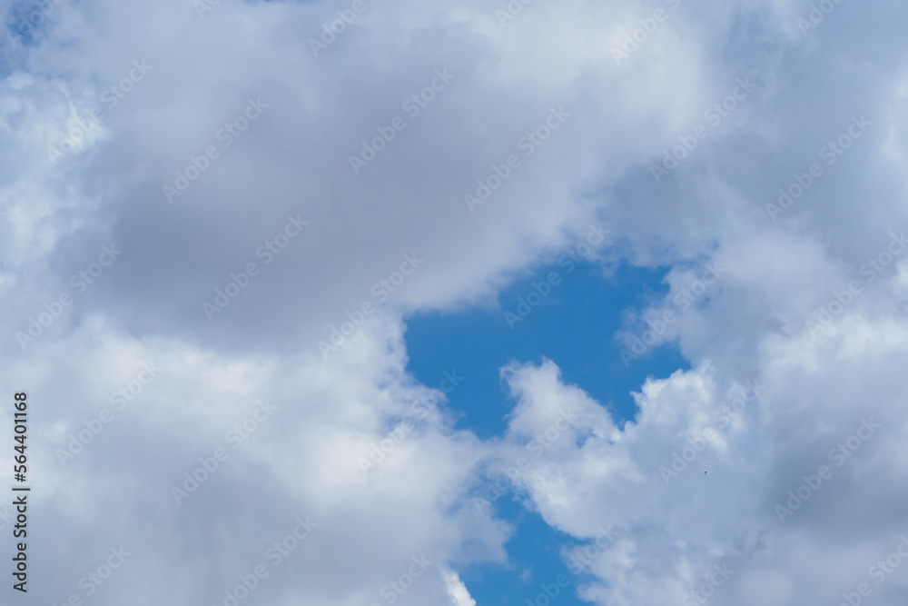 swallows fly in the blue sky against the background of clouds swallows fly in the blue sky against the background of clouds