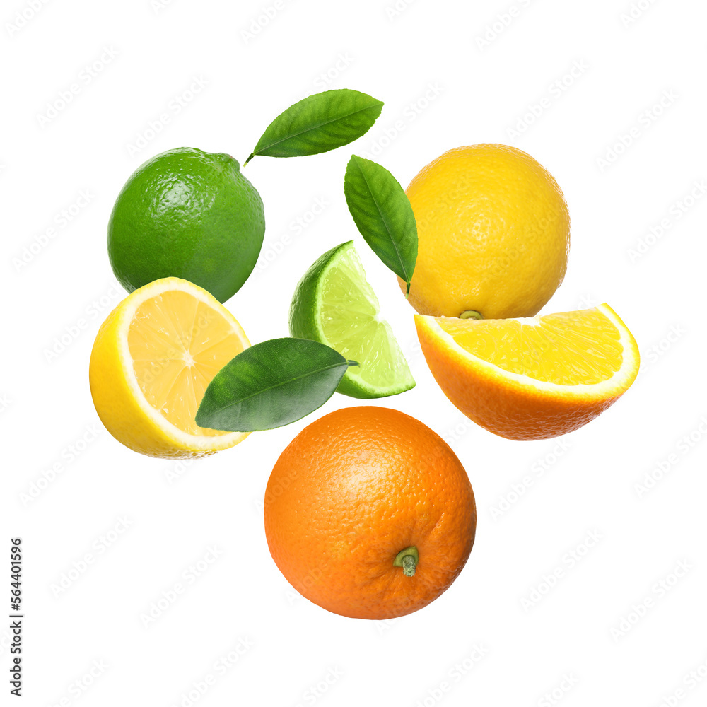 Different fresh citrus fruits and green leaves flying on white background Different fresh citrus fruits and green leaves flying on white background