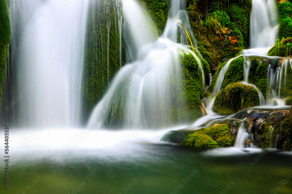 Obraz premium Waterfall in the forest