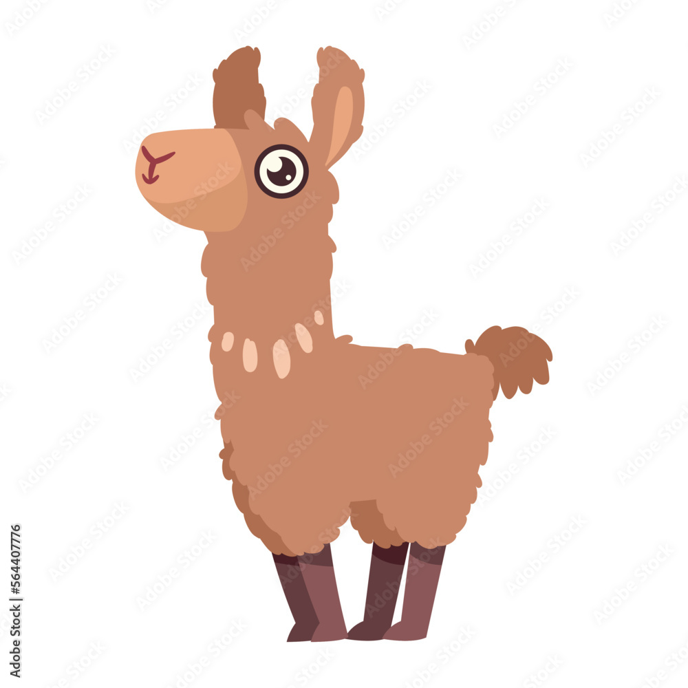 Fototapeta premium brown llama perubian animal