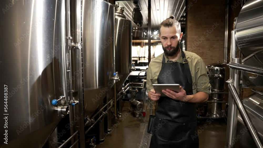 The male brewer controls the fermentation process and the temperature in tanks The male brewer controls the fermentation process and the temperature in tanks