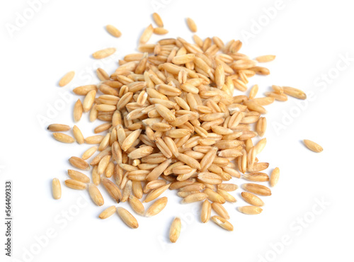 Oats grains without without husk isolated on white background