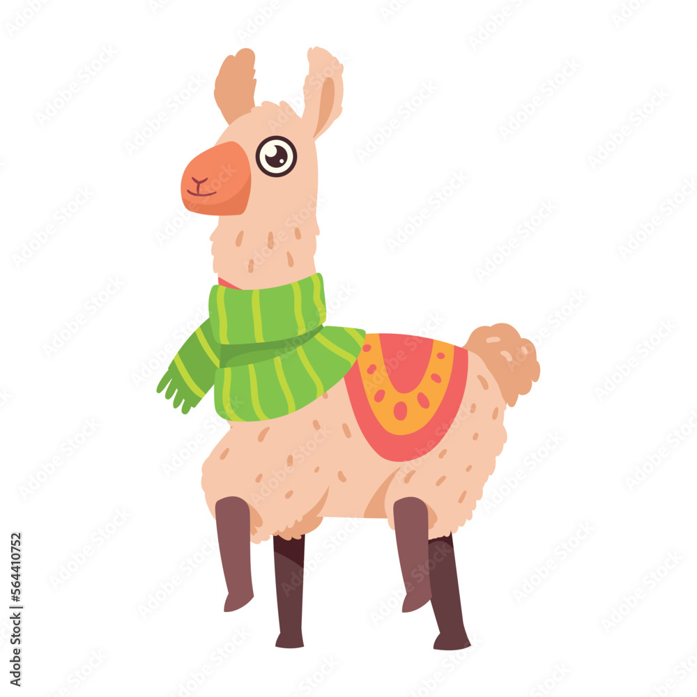 Obraz premium llama with green scarff