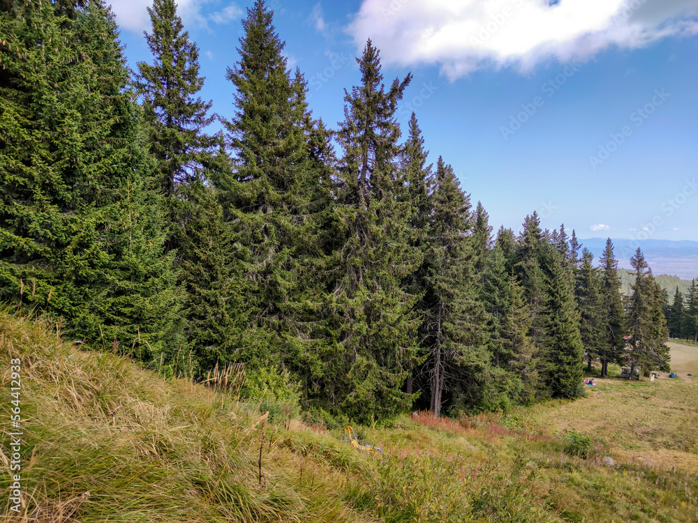 Autumn view of Vitosha Mountain, Bulgaria Autumn view of Vitosha Mountain, Bulgaria