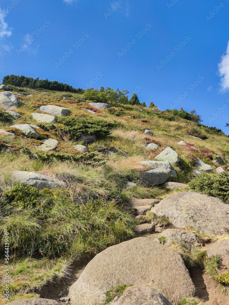 Autumn view of Vitosha Mountain, Bulgaria