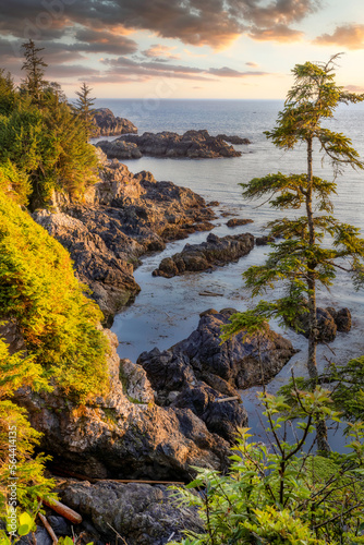 Rugged west coast landscape on Vancouver Island