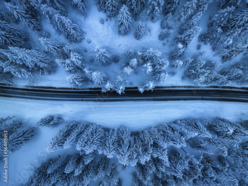 Aerial view of mountain road in fairy forest in snow in winter in blue hour. Top view from drone of highway, snowy pine trees at dusk. Beautiful rural road in woods in twilight. Travel in Slovenia