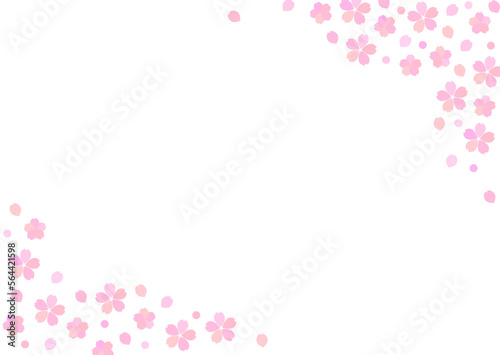 桜の花と花びらのシンプルな白背景の横型フレーム