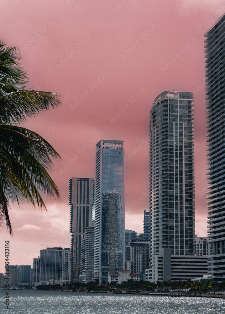 city skyline at sunset miami usa florida palm tropical sky 