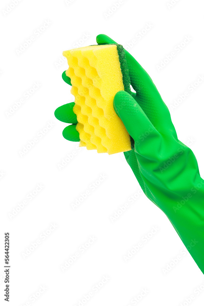 Woman hand holding yellow sponge for dish wash. Washcloth covered in soap. Domestic chores and supplies concept. Sensitive dishwashing detergent. Copy space in right side. Isolated on white - obrazy, fototapety, plakaty 