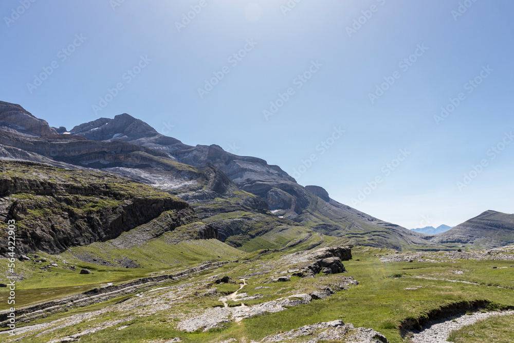 Fototapeta premium Green landscape in the pyrenees with layered mountains, green meadow and flowers, blue sky with clouds and path