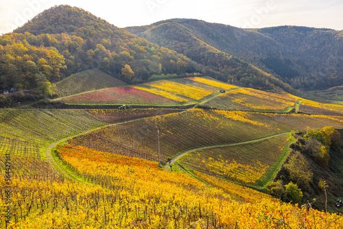 Ahrtal Weinberge