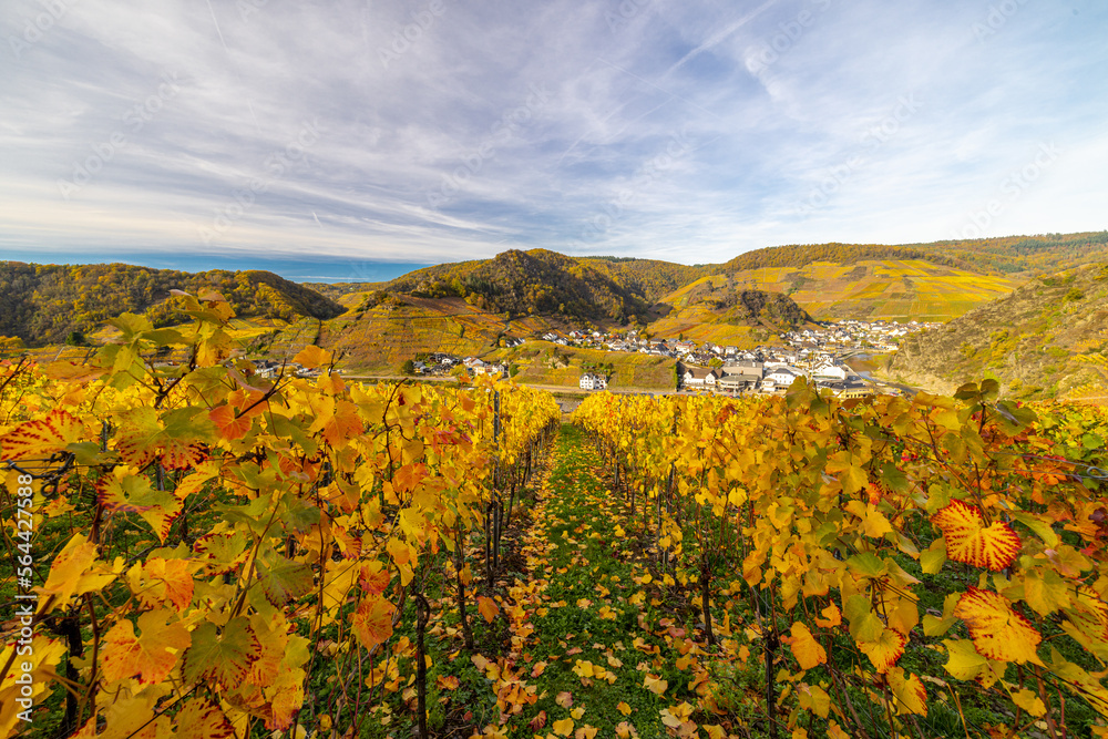 Ahrtal Weinberge