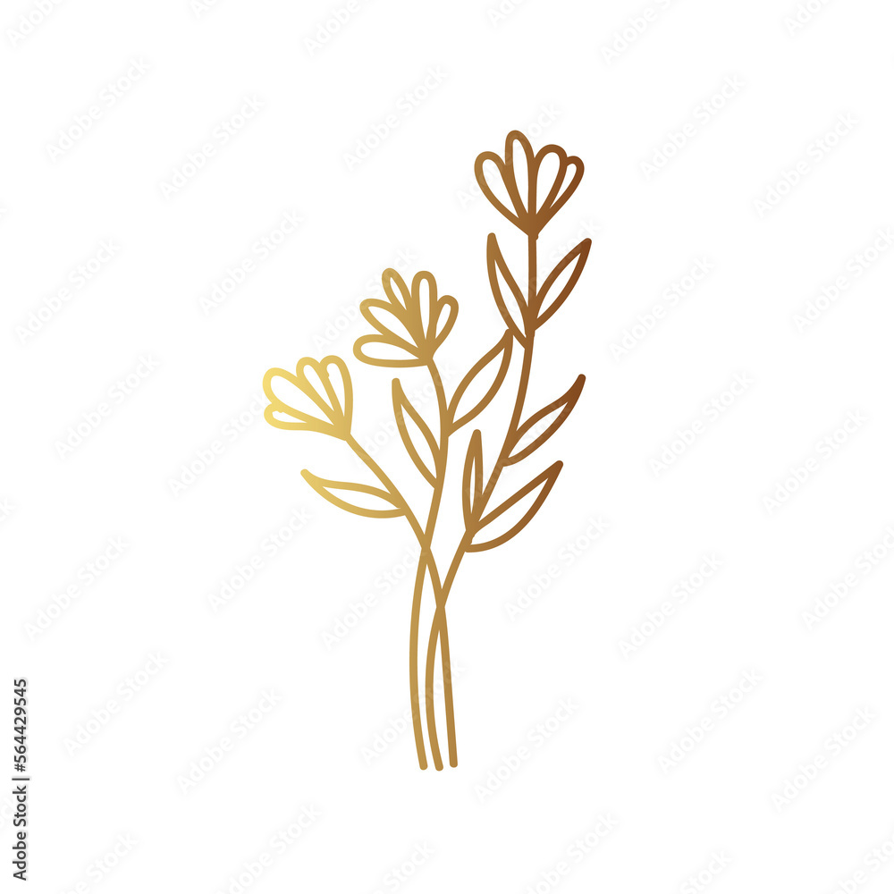 Fototapeta premium Gold flower line art 