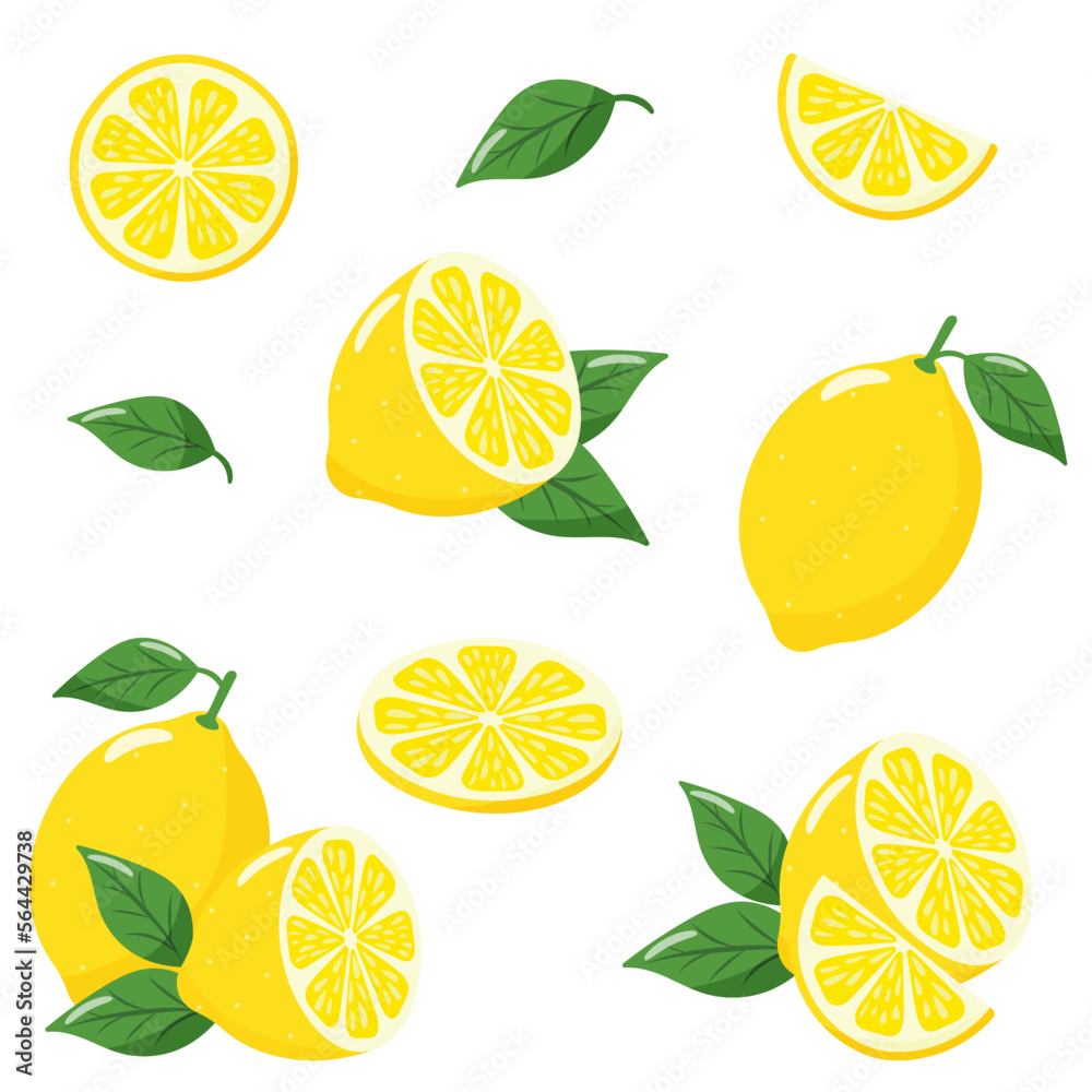 set of lemon slices and leaves