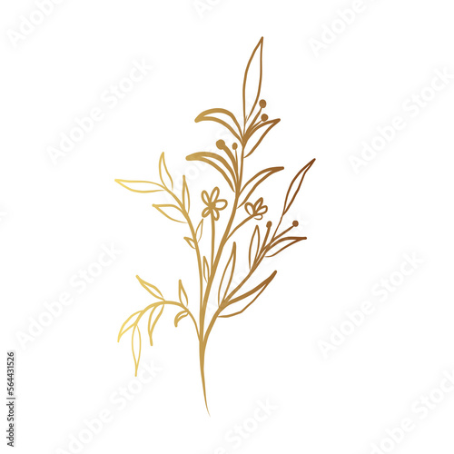 Fototapeta Naklejka Na Ścianę i Meble -  Gold flower line art 