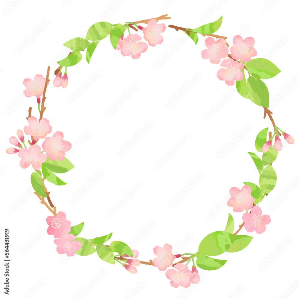 桜の新芽と花のリースフレームイラスト素材