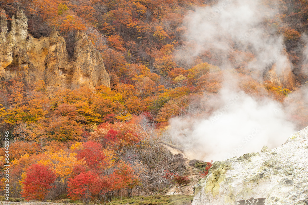 北海道 登別 紅葉の地獄谷