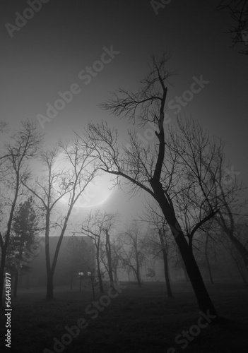 Creepy landscape showing the house in mist in dark swamp and forest during the autumn night with a full moon in black and white