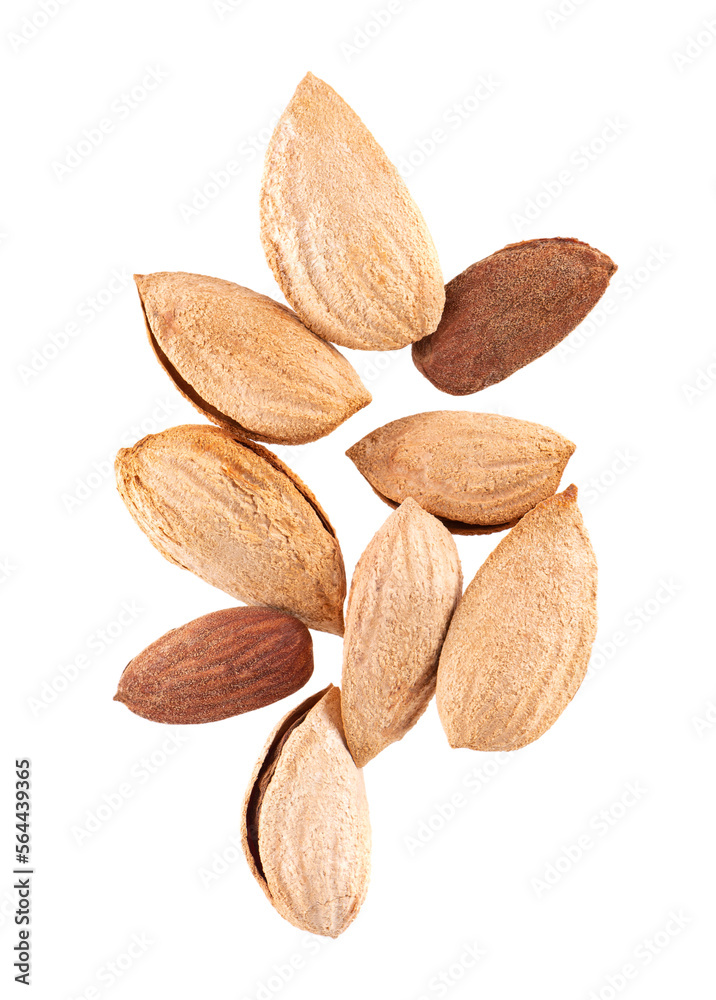 Mountain almonds isolated on white background. Uzbek wild almonds. Clipping path. Top view. Mountain almonds isolated on white background. Uzbek wild almonds. Clipping path. Top view.