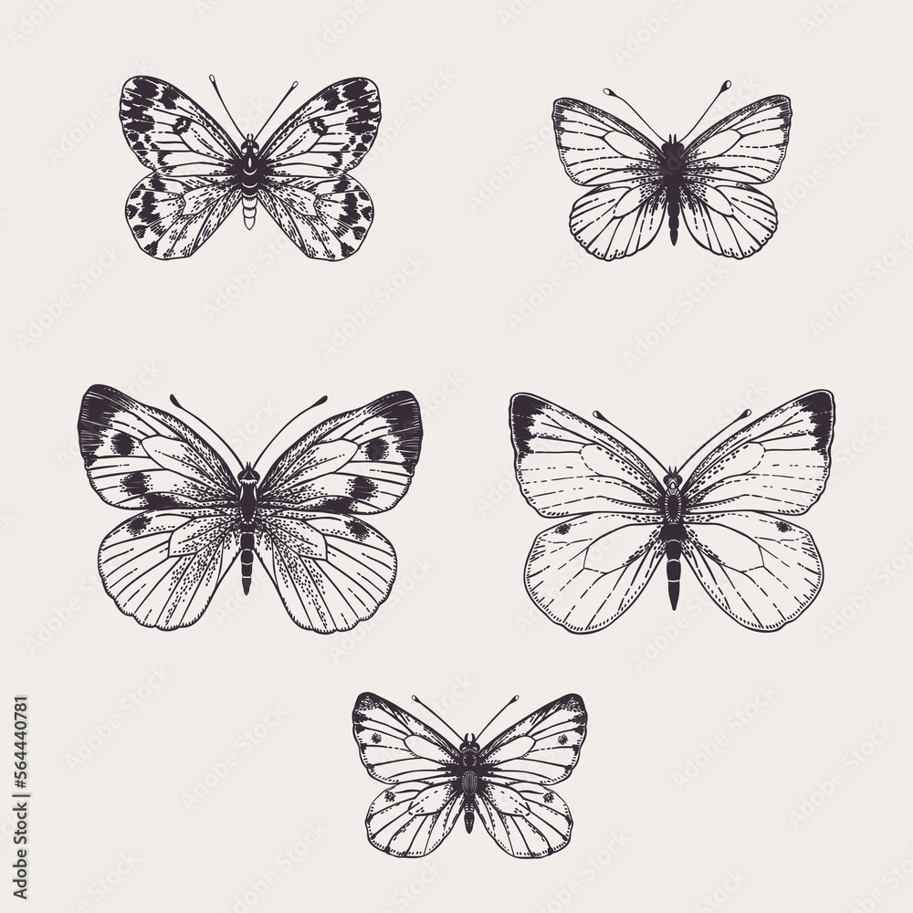 Set with white butterflies. Set with white butterflies.