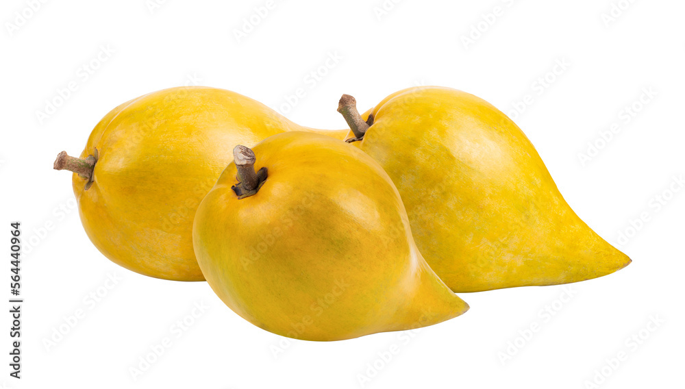 canistel fruit (Egg fruit, Tiesa, Yellow sapote, Canistelsapote, Chesa, Pouteria lucuma) isolated on  transparent png