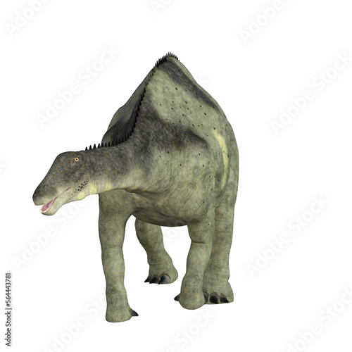 Brachytrachelopan isolated dinosaur 3d render