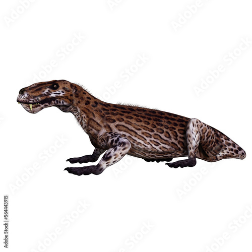 Lycaenops isolated dinosaur 3d render © Blueinthesky