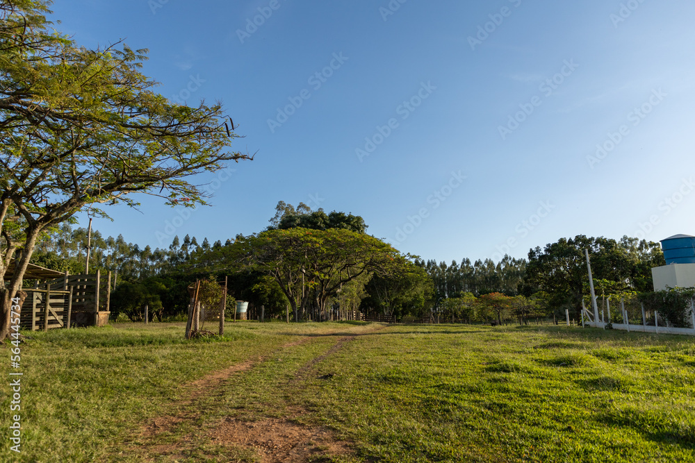 farm landscape with trees