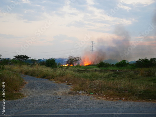 Burning grass in the local road for removing organic matter, dead leaves, blades of grass, and other natural material. Main problem of pollution in the air. © Chounchom