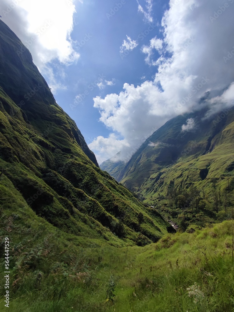 Fototapeta premium landscape in track mountain rinjani torean 