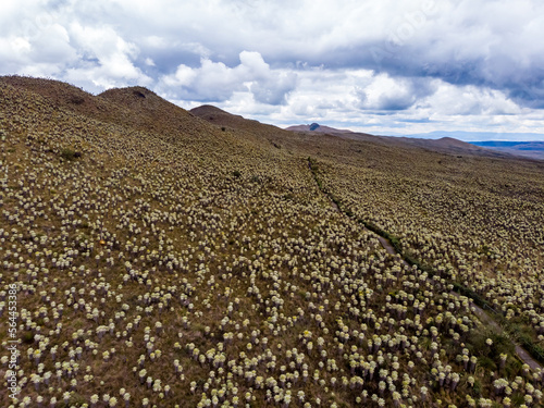 The moors of El Ángel, photo