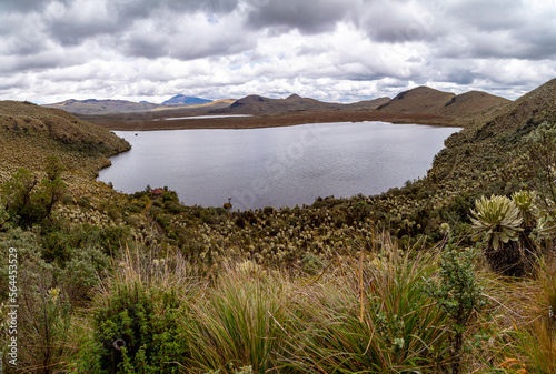 The moors of El Ángel,