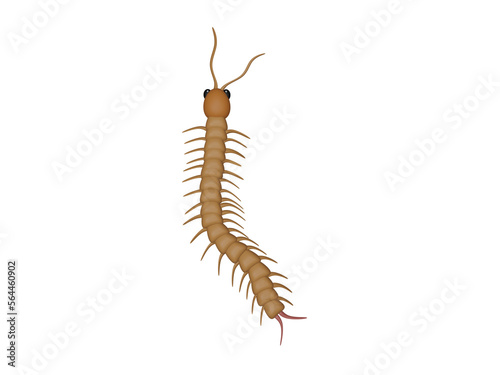 Centipede, cartoon, worm © OOMMIITHX