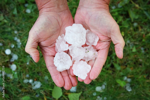 Hail in hands over grass after hail storm
