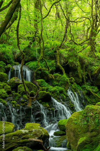 元滝伏流水