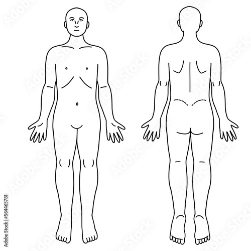 シンプルな全身の人体図　体表の前面と後面