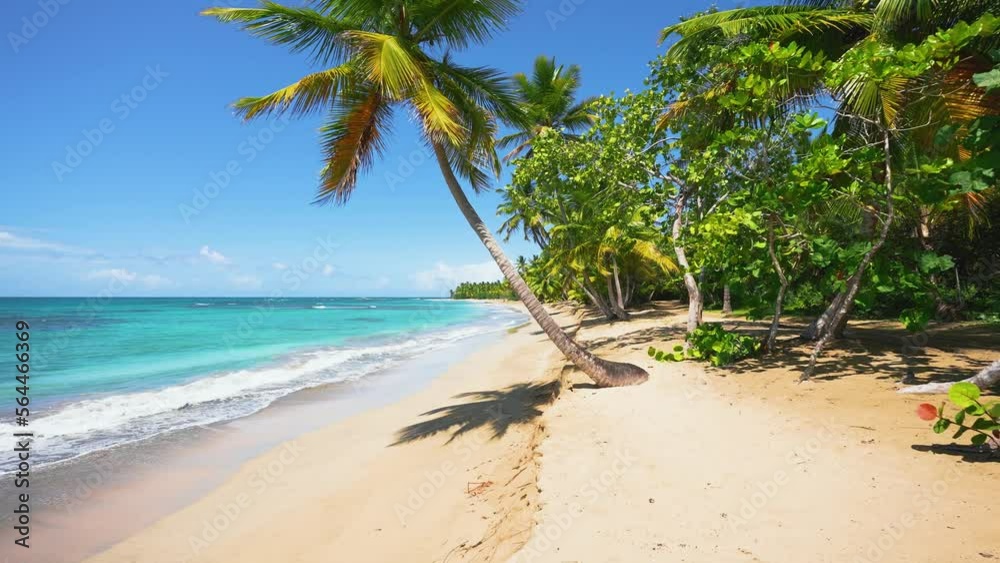 Coconut palms on a sunny beach and turquoise sea on the paradise island of Jamaica. Desert island with palm trees on a hot summer day. Tropical vacation on a paradise idyllic beach. Coconut palms on a sunny beach and turquoise sea on the paradise island of Jamaica. Desert island with palm trees on a hot summer day. Tropical vacation on a paradise idyllic beach.