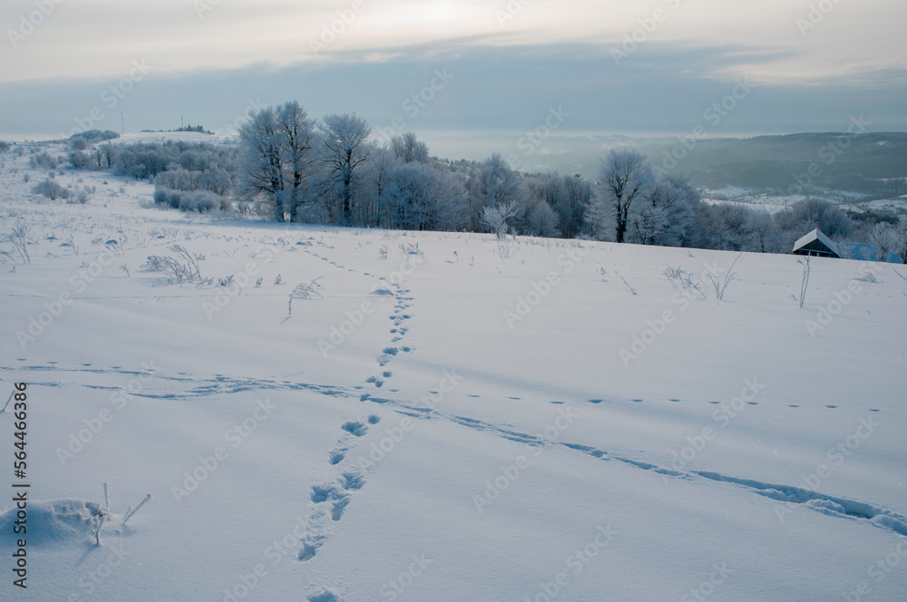 Winter landscape in the mountains, snowy winter landscapes, frosty mornings Winter landscape in the mountains, snowy winter landscapes, frosty mornings