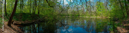 Panorama of forest lakes in spring, young leaves and freshly blossomed buds of trees and shrubs