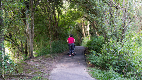 Mulher de costas empurrando um carrinho de bebê por um caminho entre árvores em um parque da cidade.
