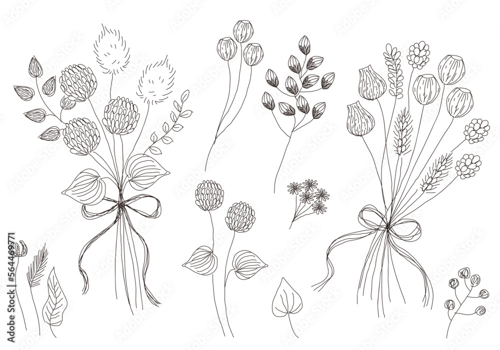 ドライフラワー 実 草花 装飾 あしらい 線画 ドライフラワー 実 草花 装飾 あしらい 線画