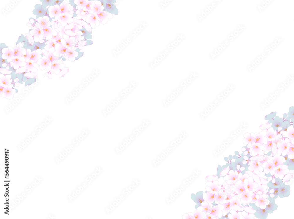 桜の花のフレーム、背景。春のイラスト。