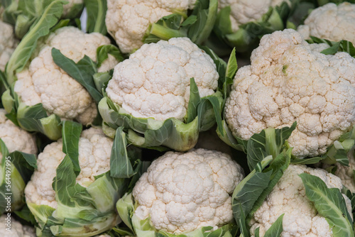 A group of cauliflower with green leaves.