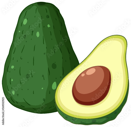 Isolated green avocado fruit isolated