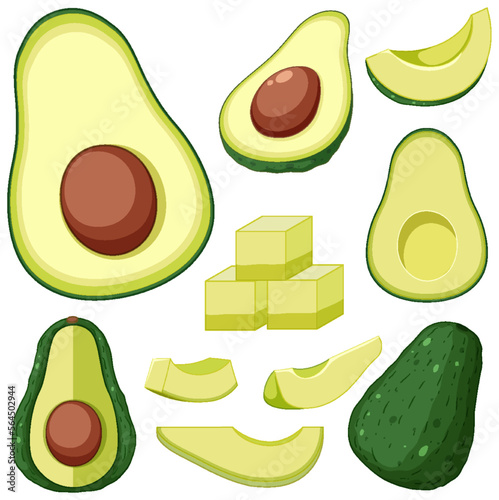 Set of avocado fruit cartoon