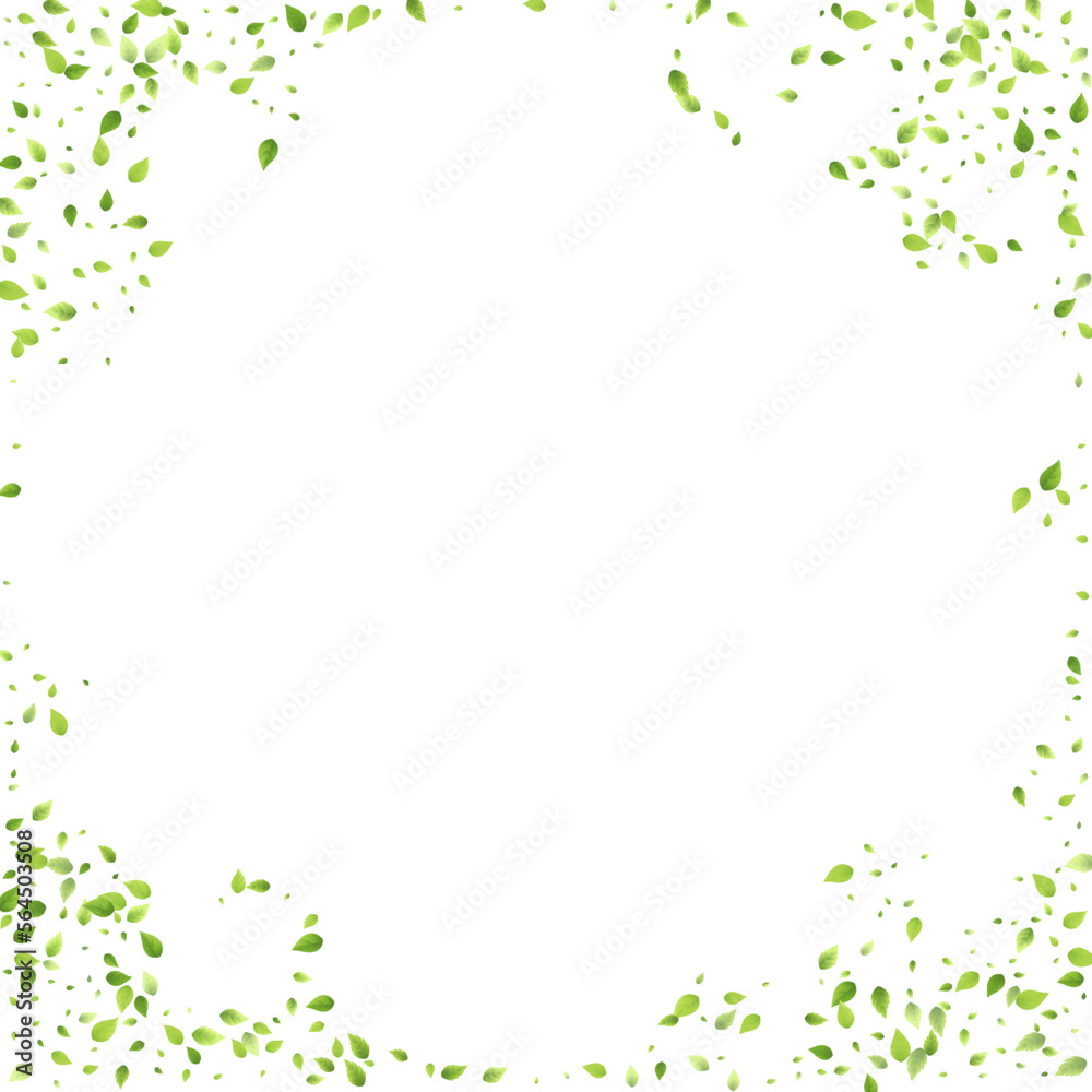 Leaves Green Falling Flying Foliage Leaf Tea Mint Leaves Green Falling Flying Foliage Leaf Tea Mint