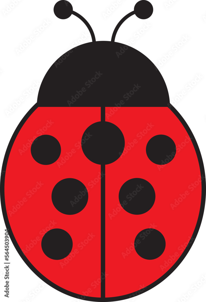 Seven spotted ladybird vector illustration isolated on white background. Seven spotted ladybird vector illustration isolated on white background.