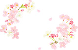 桜のフレーム　背景イラスト