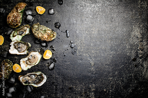 Oysters with pieces of ice and lemon. 